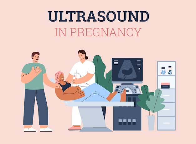 임신 배너 평면 벡터 일러스트 절연에서 초음파 검진