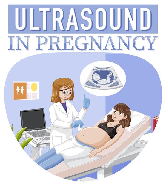 Vector ultrasound in pregnancy for banner or poster design