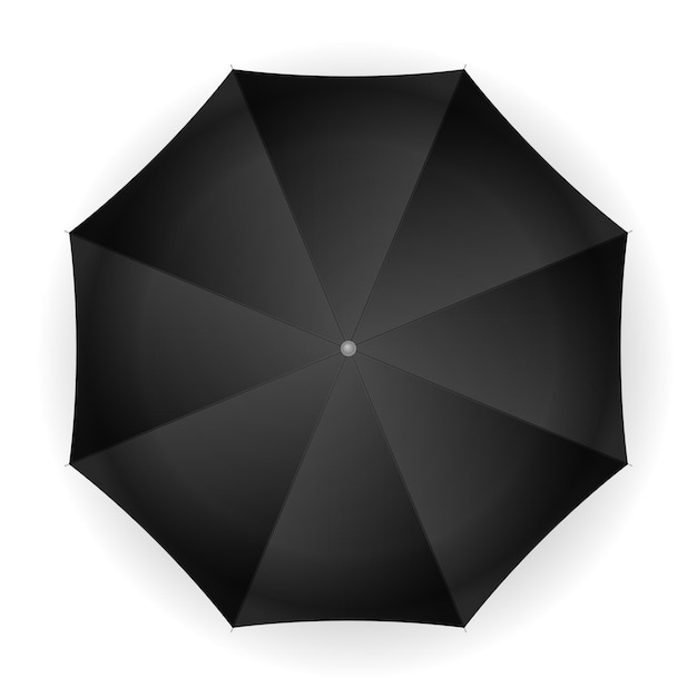 Umbrella