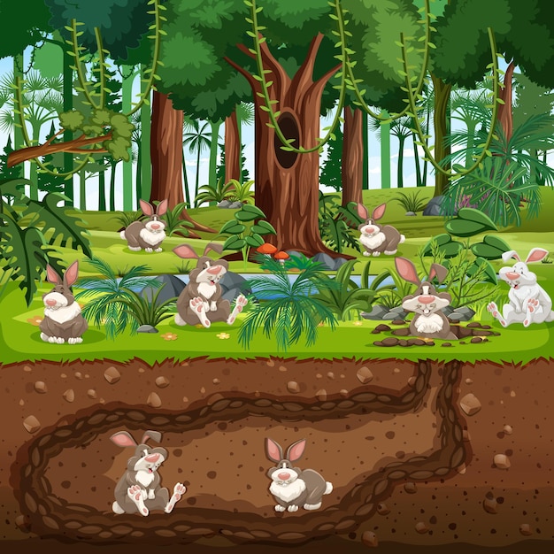 Vector underground animal burrow with rabbit family