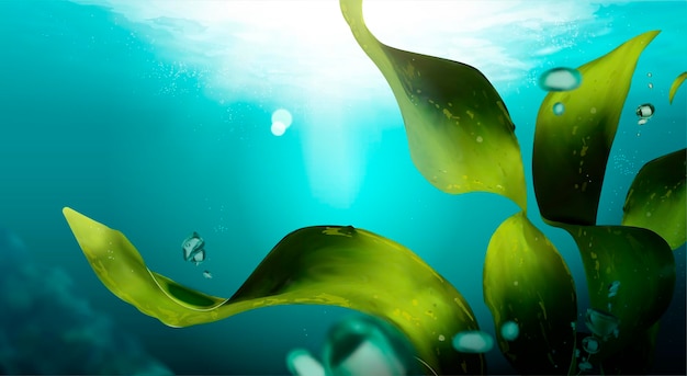 Vector undersea scene with seaweed and bubbles