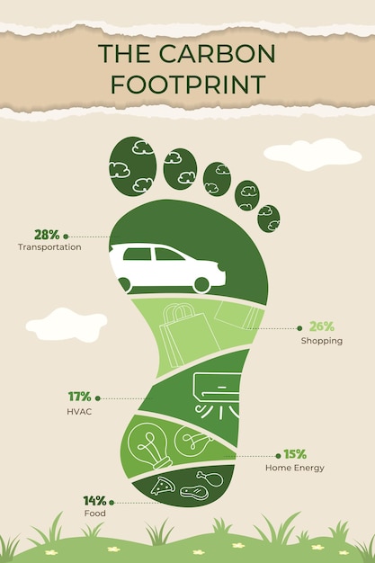 Understanding the Carbon Footprint Through Vector Illustration Infographic