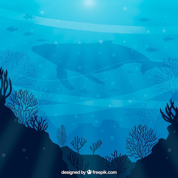 Vector underwater background with different marine species