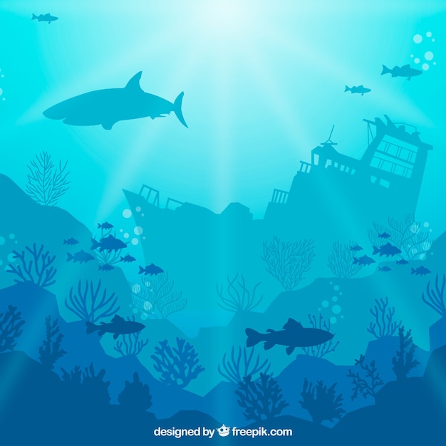 Underwater background with different marine species