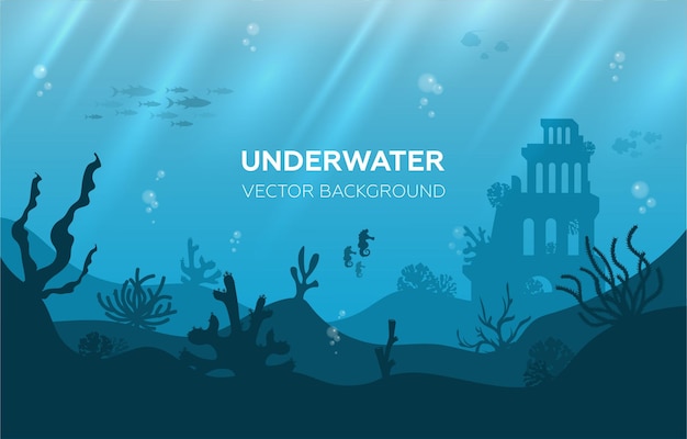 Underwater background with various sea views underwater scene cute sea fishes ocean underwater