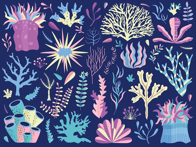 Underwater Coral Reef with Seaweeds and Anemones