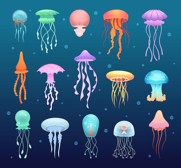 수중 해파리. 아름다운 마법의 물 젤리 수영 동물 벡터 컬렉션입니다. 수족관 및 수중 수중 야생 동물 일러스트레이션을 위한 해파리