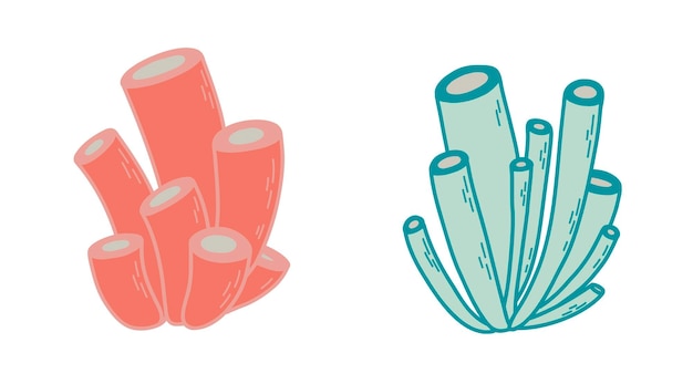 underwater marine life sea anemons vector colorful illustration