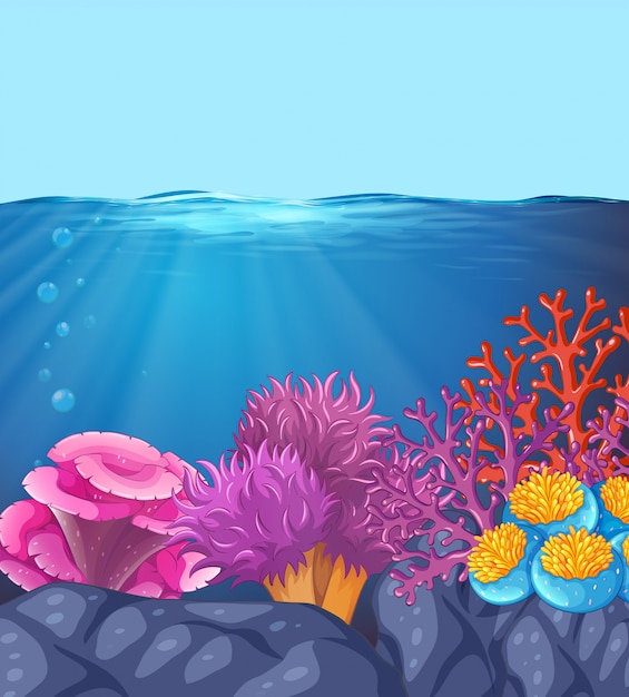 수중 바다 산호 장면