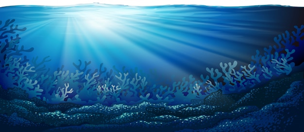Vector underwater ocean scene background