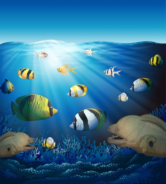 Vector underwater scene with fish and seaweeds