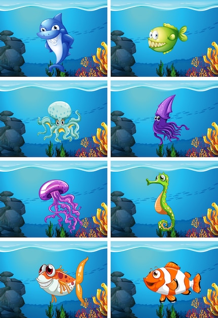 Underwater scenes with sea animals illustration