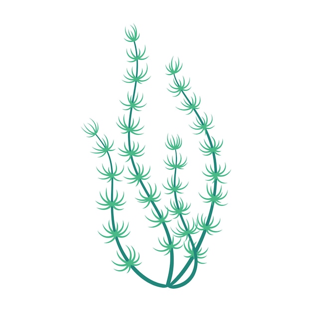 Vector underwater seaweed aquatic flora green plant