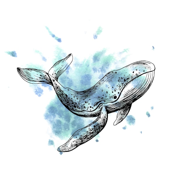 Вектор Подводный мир скалы с морскими животными киты черепахи осьминоги морские коньки морские звезды раковины кораллы и