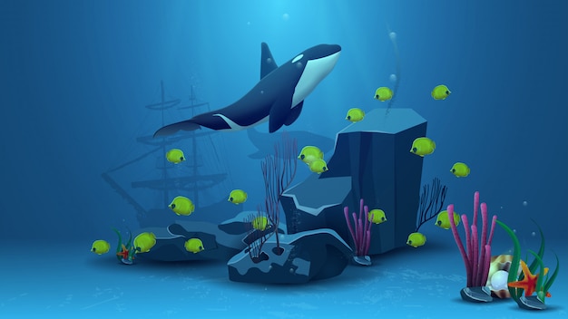 Vettore mondo subacqueo, illustrazione vettoriale con killer whale