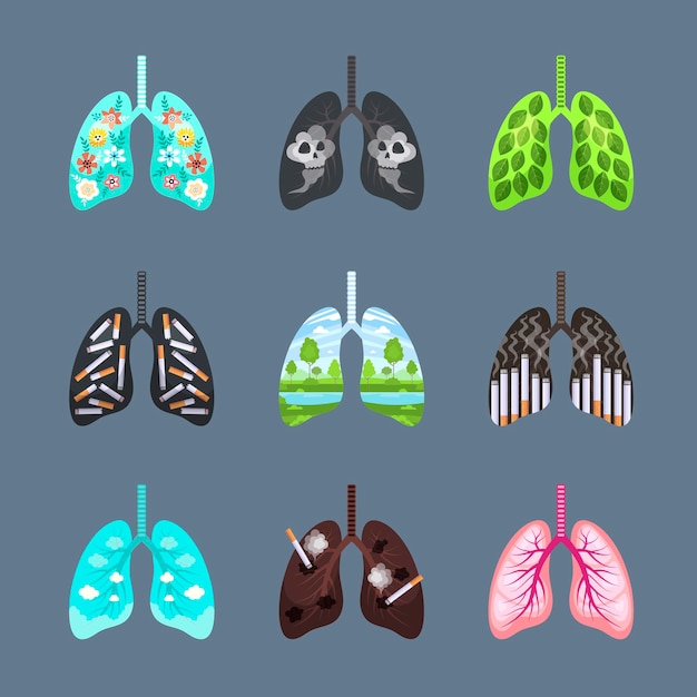 Unhealthy lungs concept illustrations of healthy and damaged from tobacco lungs organism pollution destroyer human systems recent vector templates collection human health and disease cancer