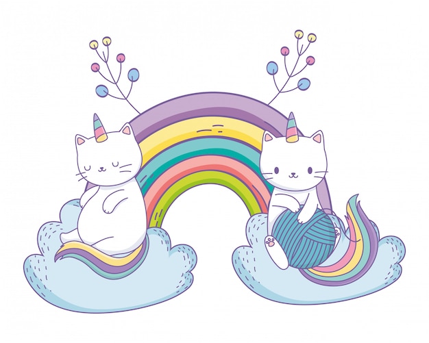 Unicorn cat cartoon couple