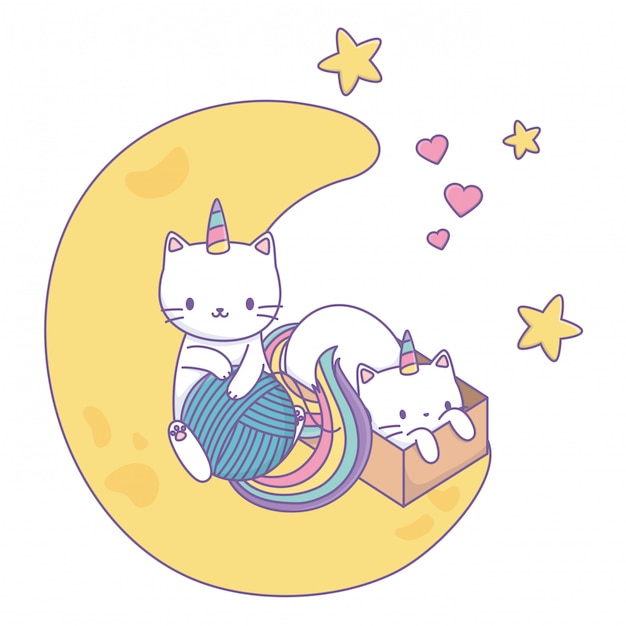 Unicorn cats cartoons 