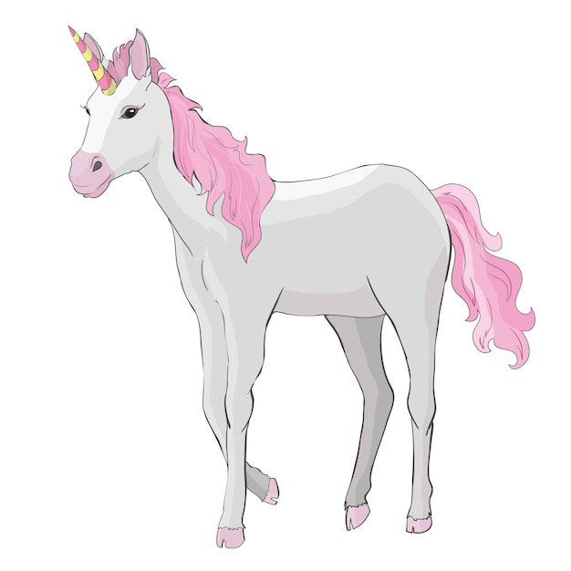 Unicorno isolato su bianco.