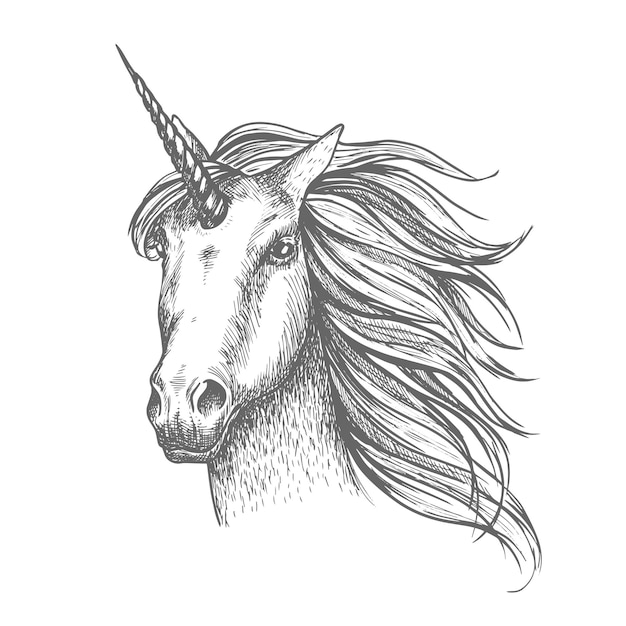 Unicorn mythic horse vector sketch