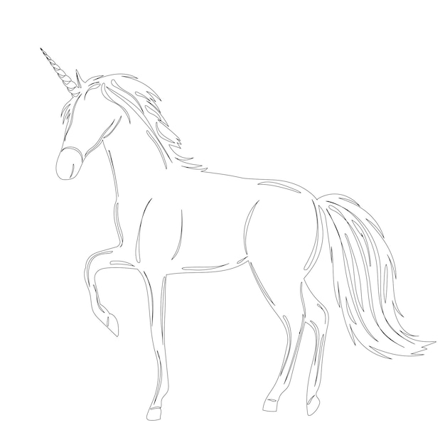 Unicorn sketch on white background outline