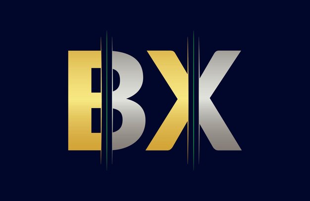 Unieke BX letter logo Icon vector sjabloon