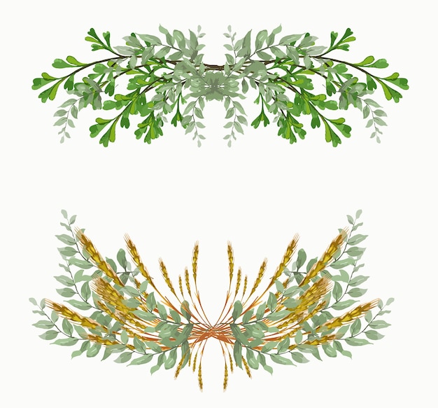 Vettore illustrazione dell'acquerello unico foglia e riso