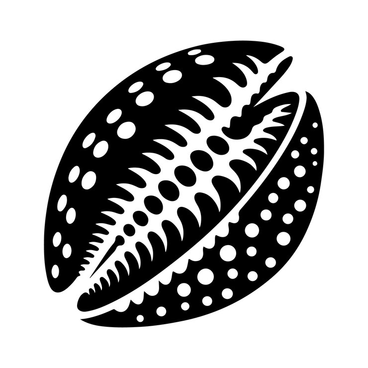 Vector unique spotted cowrie shell vector illustration highdpi for quality prints