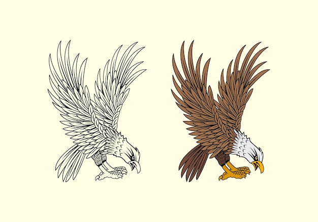 Vector united state marine corps eagle ega design illustration