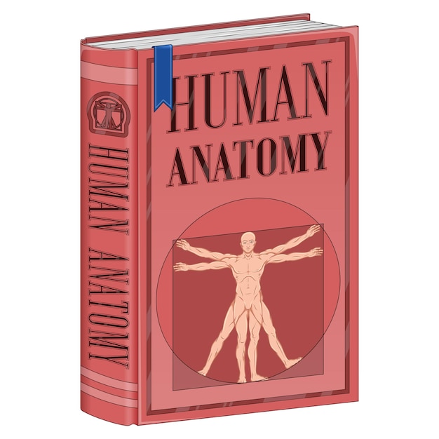 Vettore libro universitario di anatomia umana.