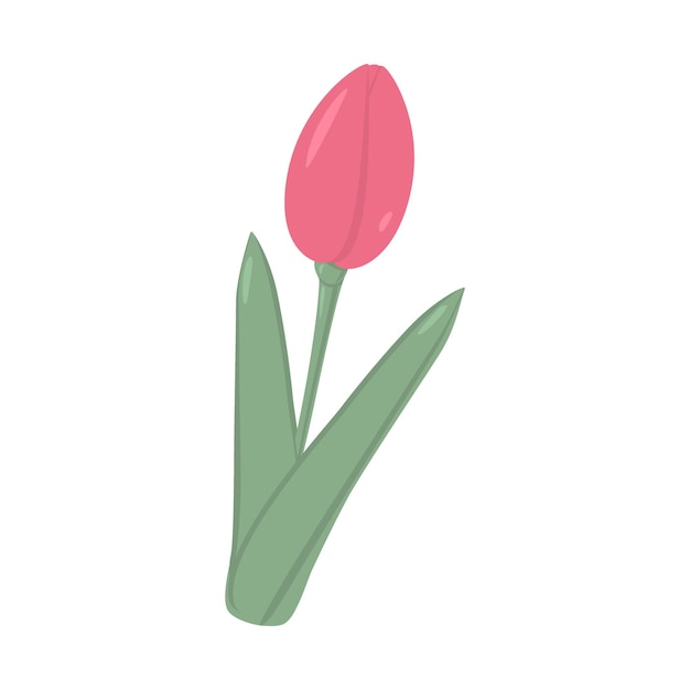 Vector unopened tulip bud in trendy soft shades in flat style 8 march happy women day sticker icon