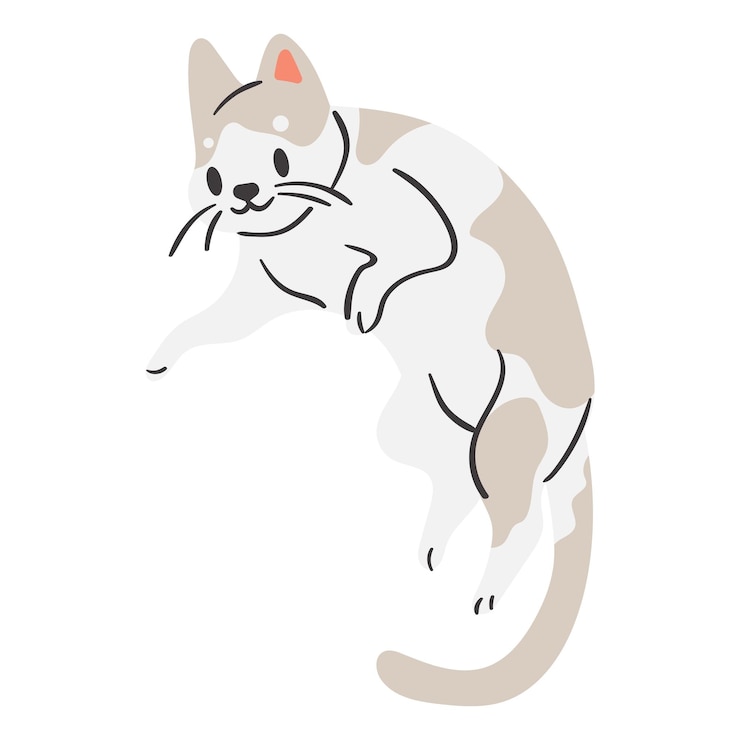 Vector 제목 없는 디자인 128