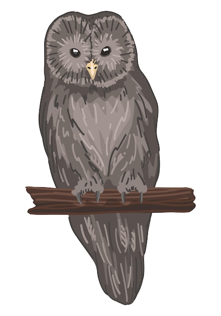 Ural owl clipart in stile cartoon disegno colorato realistico di uccello notturno animale selvatico illustrazione vettoriale isolata su sfondo bianco