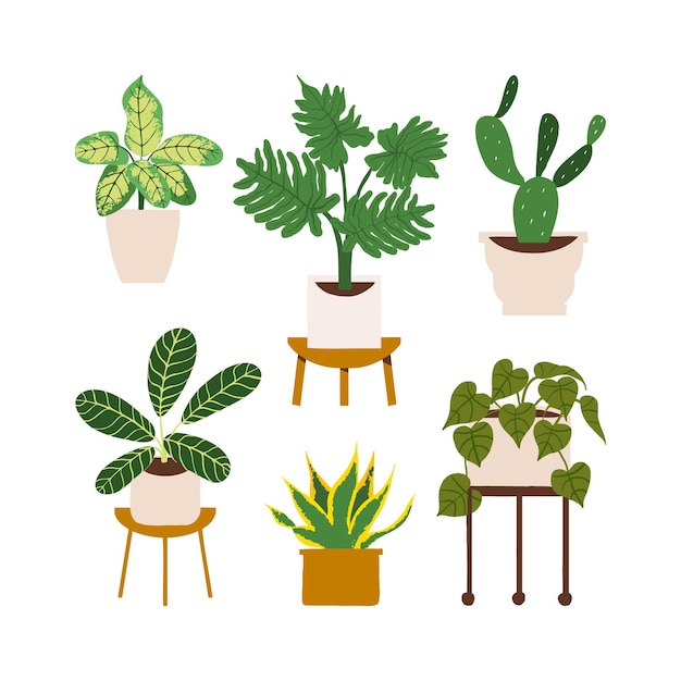 Vector urban jungle trendy home decor with snake plant calathea prayer sansevieria philodendron in pots