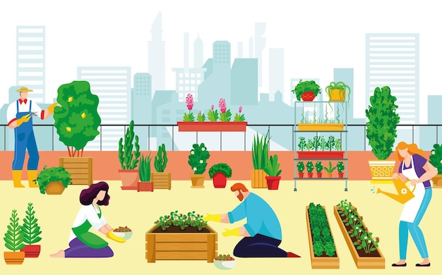 Vector urban roof landscaping kitchen garden people together organic vegetable farmer character grow plants cityspace flat vector illustration