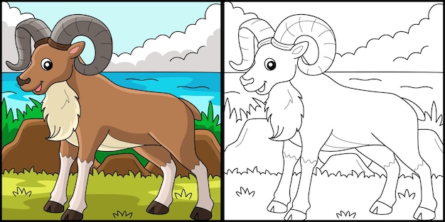 Urial Animal Coloring Page Colored Illustration