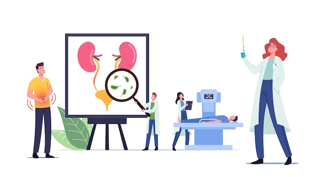 Urinary Tract Infection, UTI Medical Concept with Tiny Doctors and Sick Patient Characters at Huge Anatomical Poster with Internal Urinal Organs Bladder and Kidneys. Cartoon People Vector Illustration