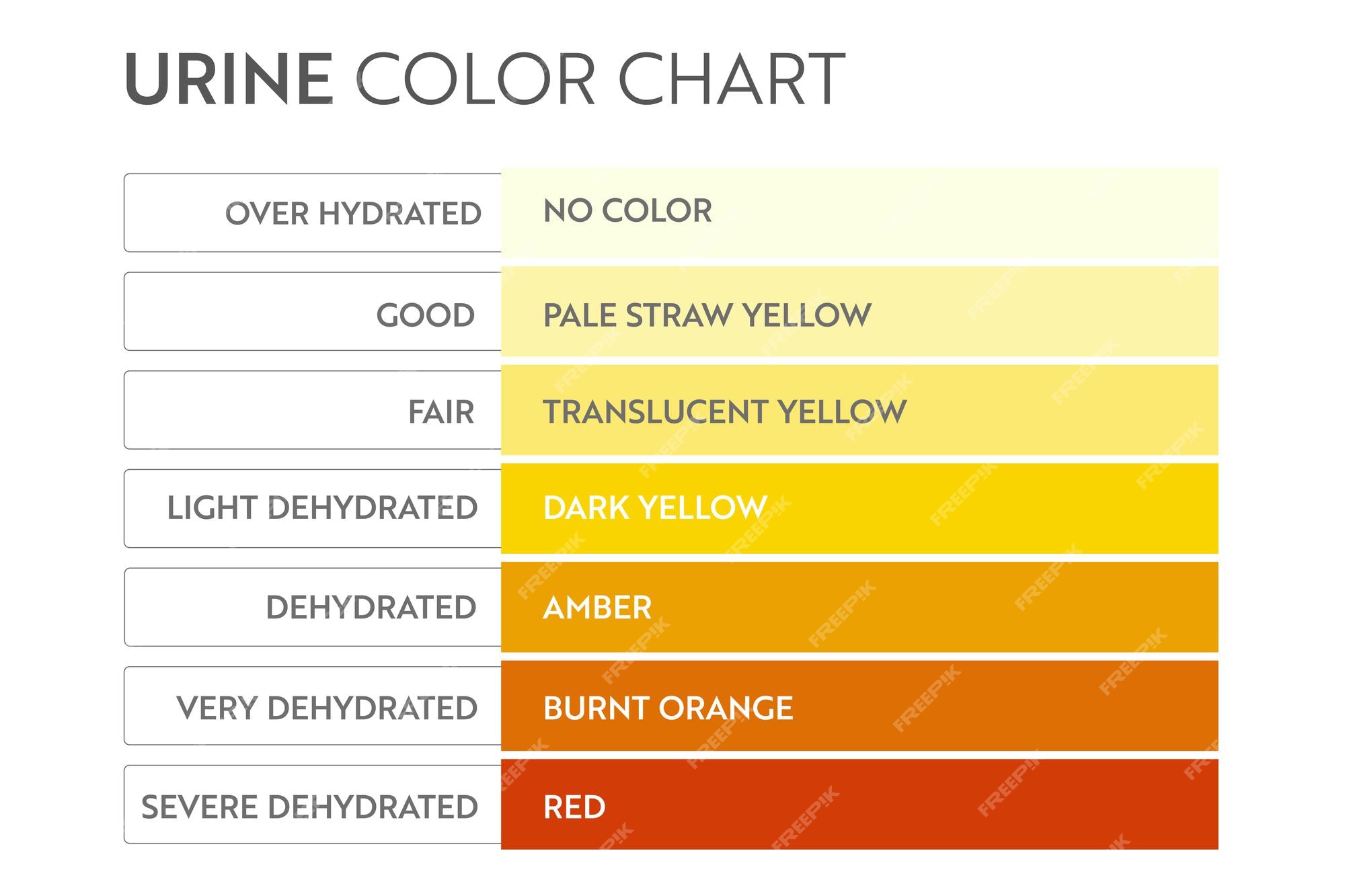 Premium Vector | Urine color chart. pee hydration and dehydration test ...