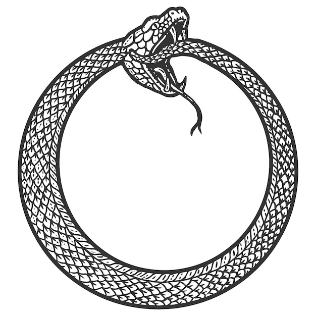 Uroboros snake coiled in a ring biting its tail Scratch board imitation Black and white hand drawn image