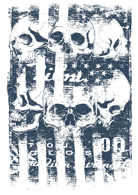 US Flag with skulls and american flag