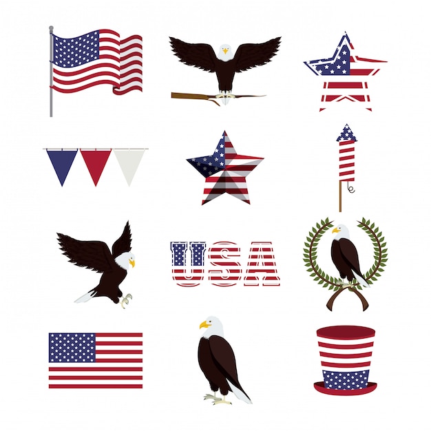 Vector usa design