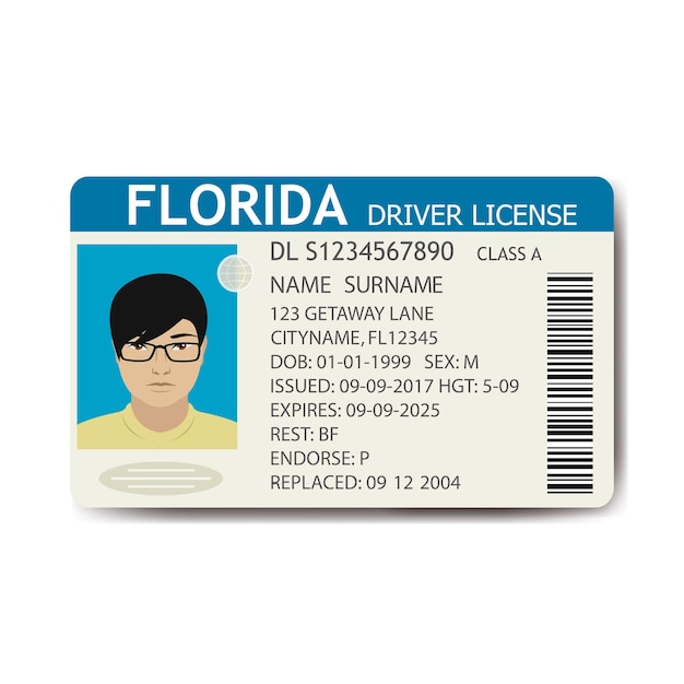 Usa driver license with male photo and qr code