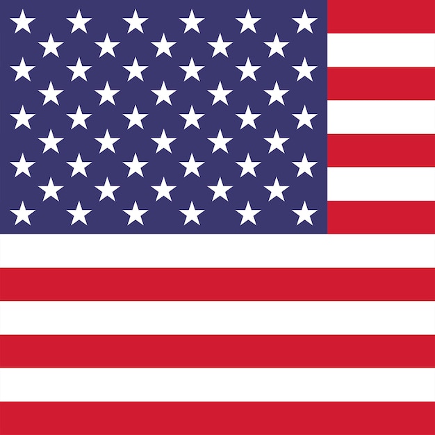 Vector usa flag official colors vector illustration