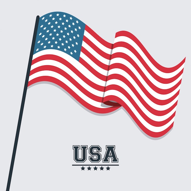 Vector usa flag