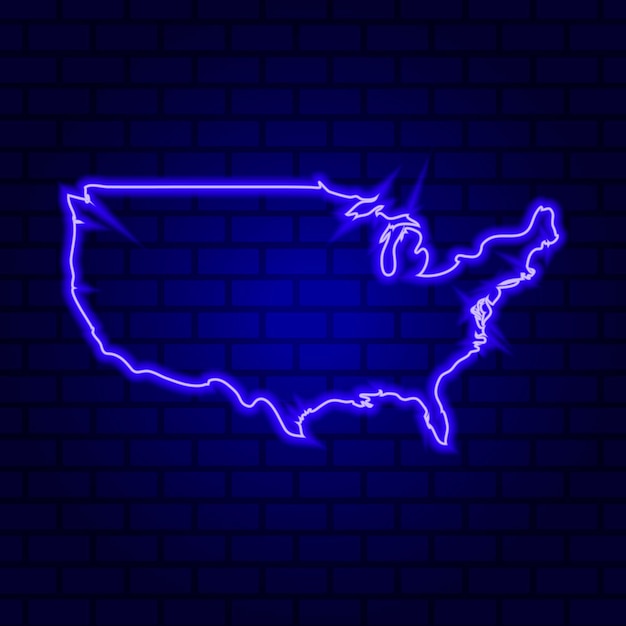 Usa glowing neon sign on brick wall background