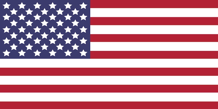 Vector usa national flag american flag standard color standard size a rectangular flag digital illustr
