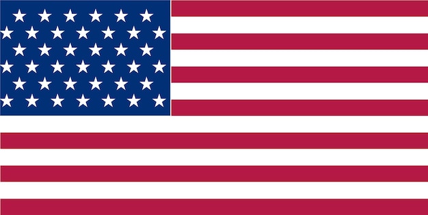 Vector usa vlag