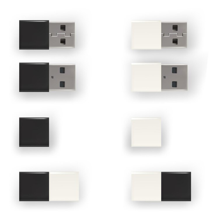 USB-накопители черно-белые флэш-диски USB-флеш-накопители Изолированный вектор