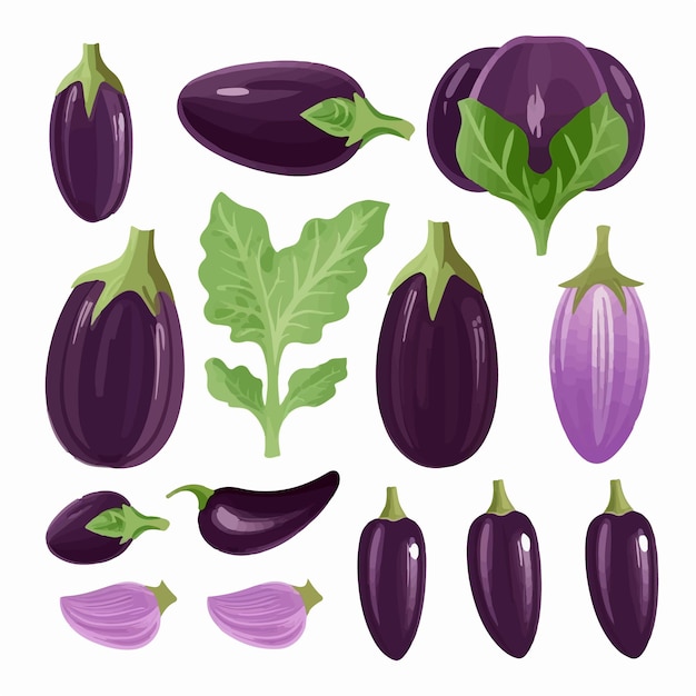 Vector use these eggplant vectors to create a delicious design