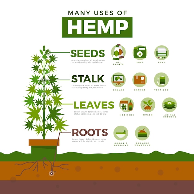벡터 대마의 용도-인포 그래픽